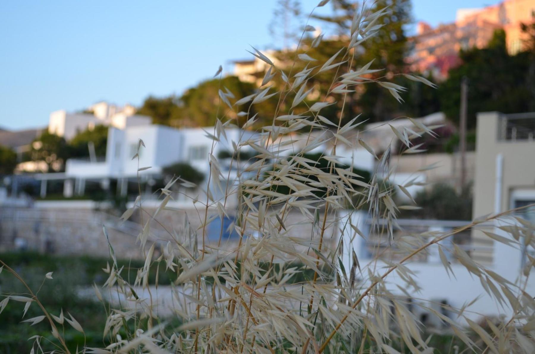 White Lotus Seaside Apartment Kini エクステリア 写真